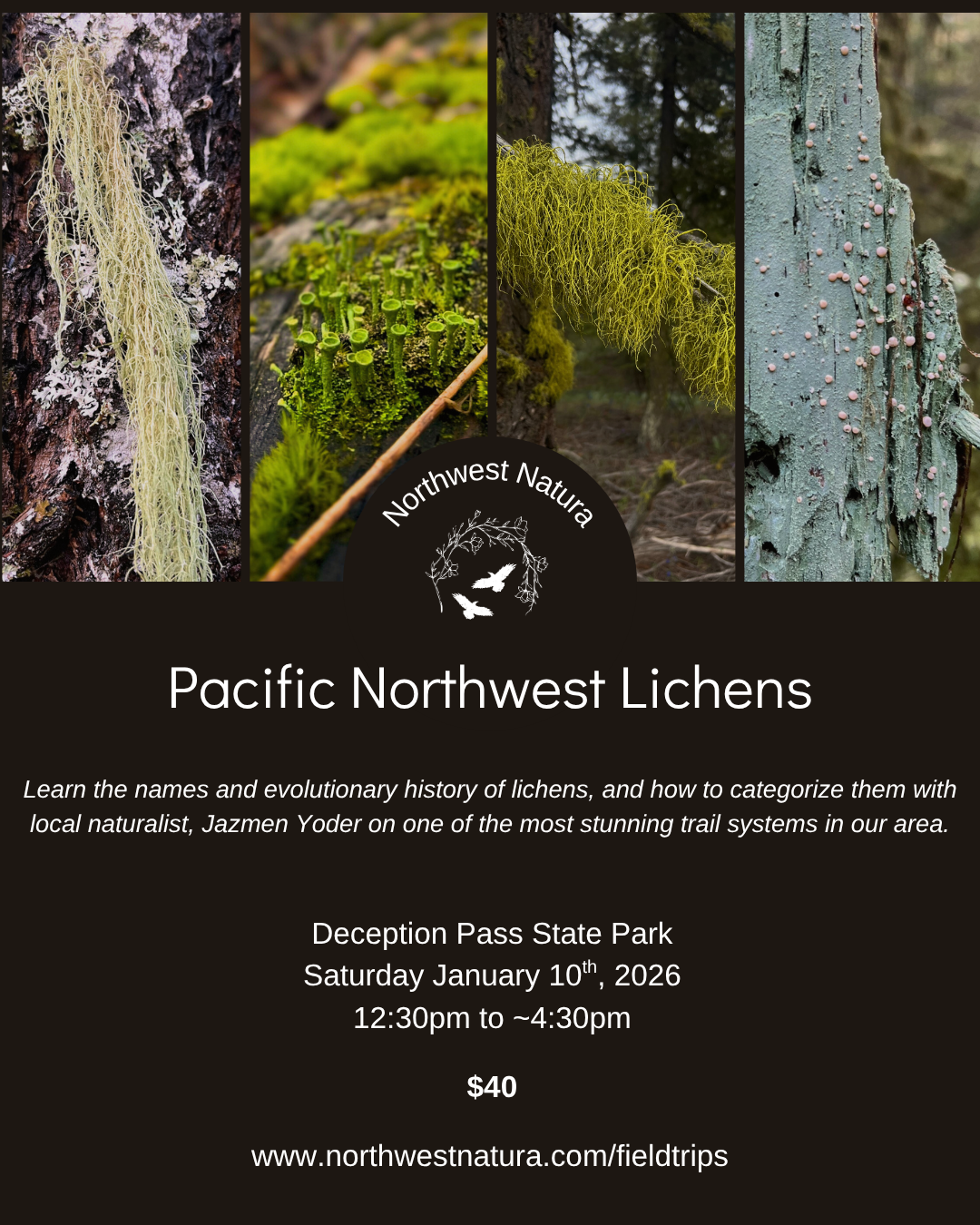 Pacific Northwest Lichens