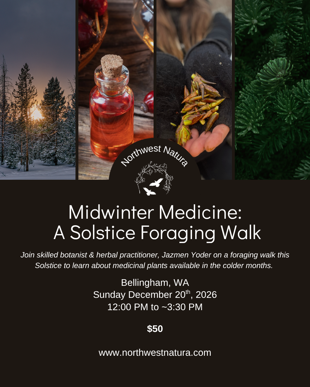 Midwinter Medicine:  A Solstice Foraging Walk