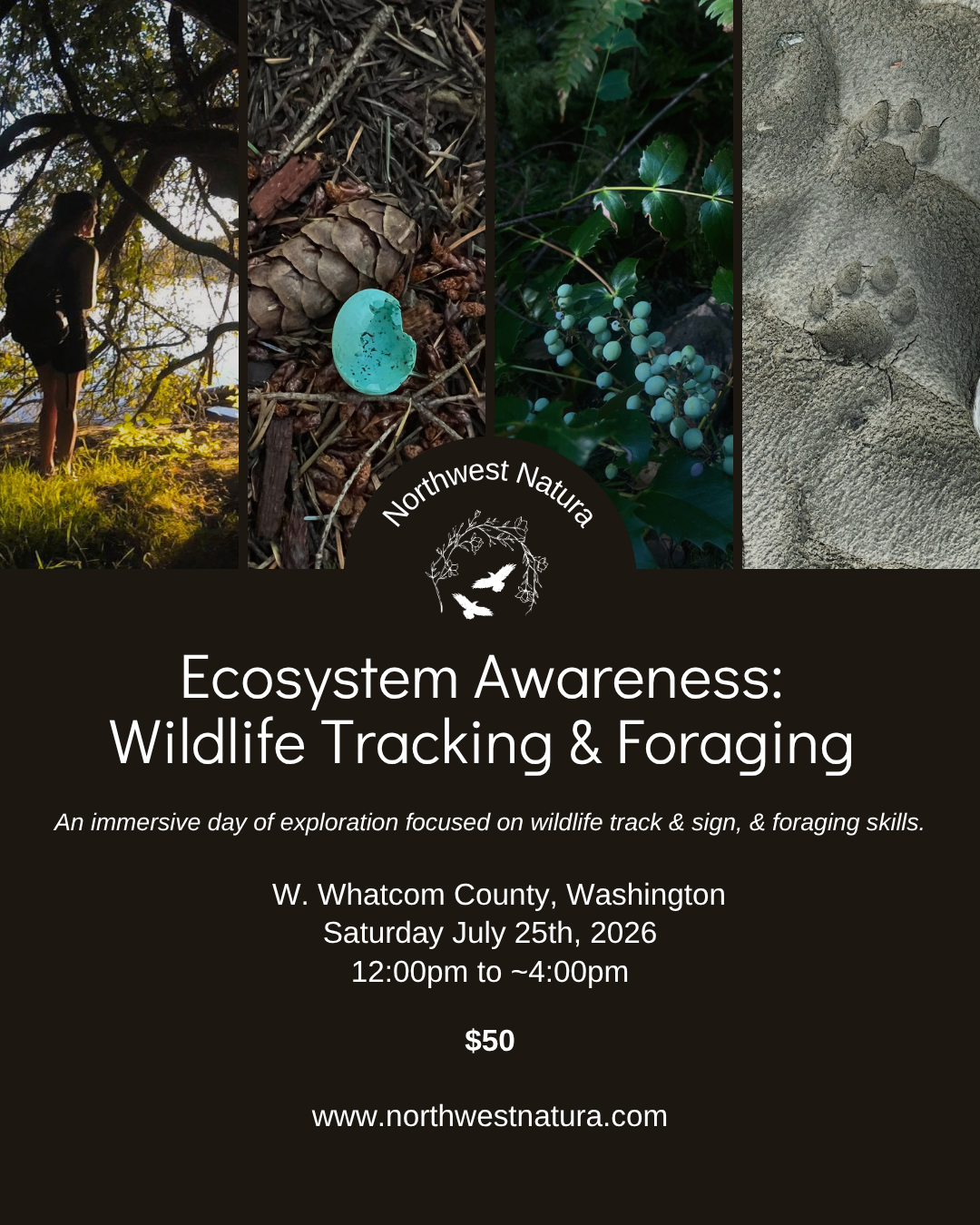 Tracking and Foraging.png
