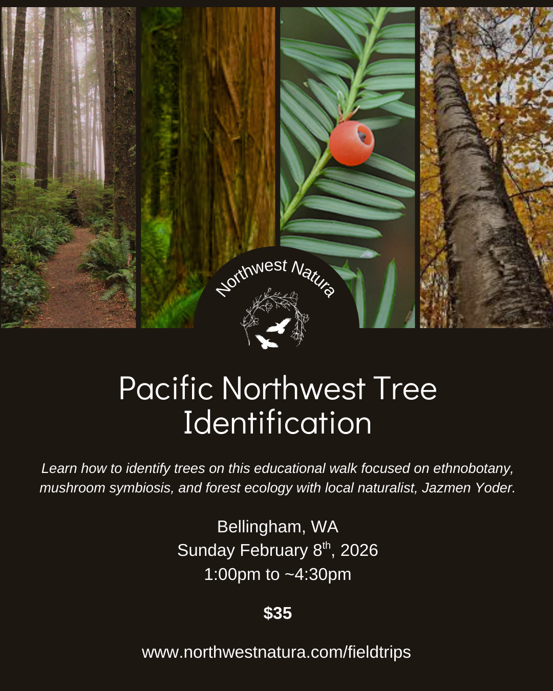 Trees of the PNW.png