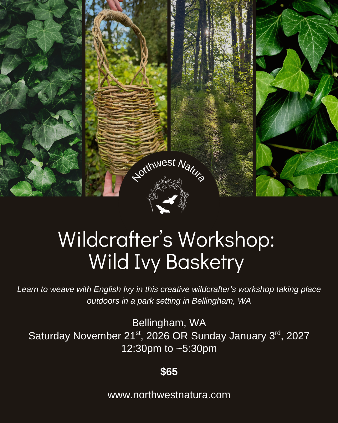 Wildcrafter's Workshop: Wild Ivy Basketry