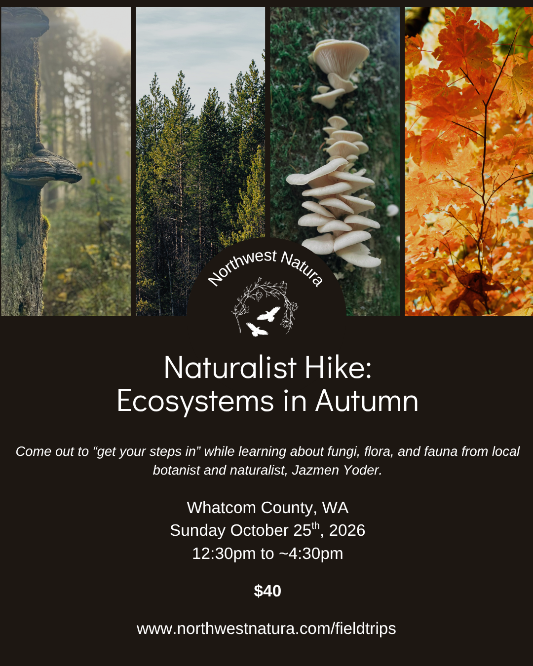 Naturalist Hike Ecosystems Autumn.png