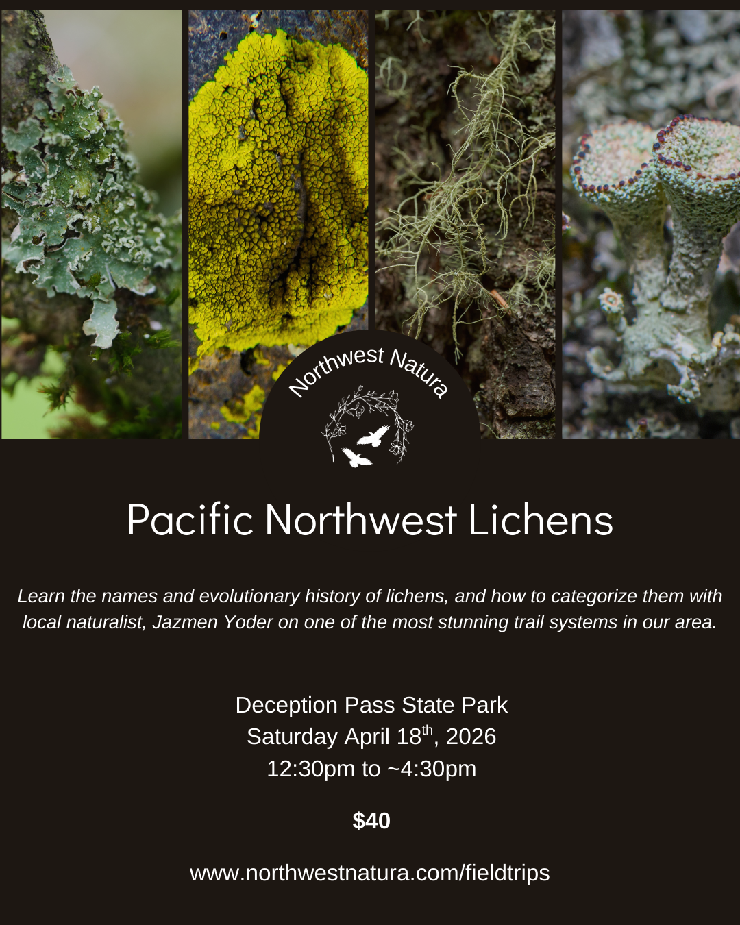 Pacific Northwest Lichens