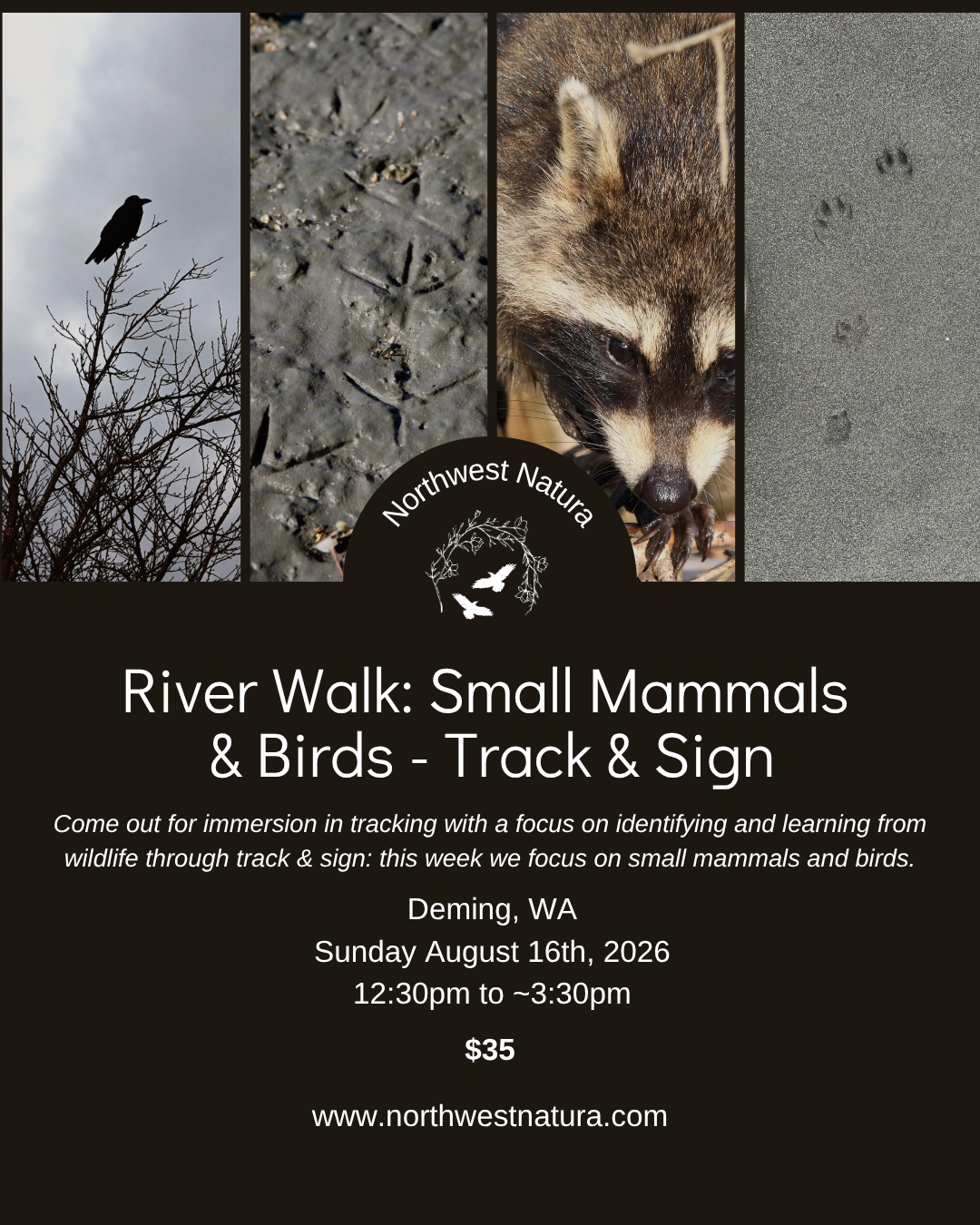 River Walk Small Mammals Birds.png