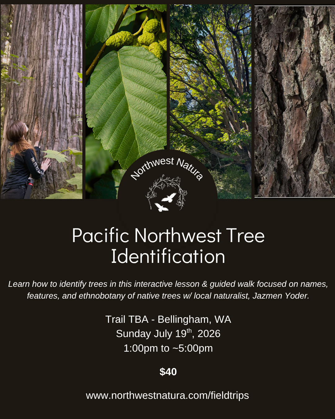Trees of the PNW (1).png