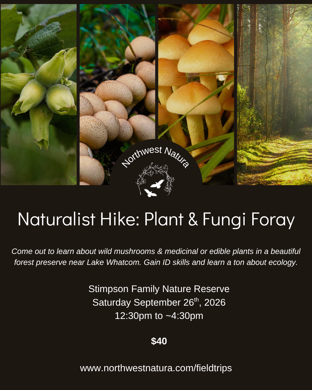 Naturalist Hike - Plants & Fungi Foray