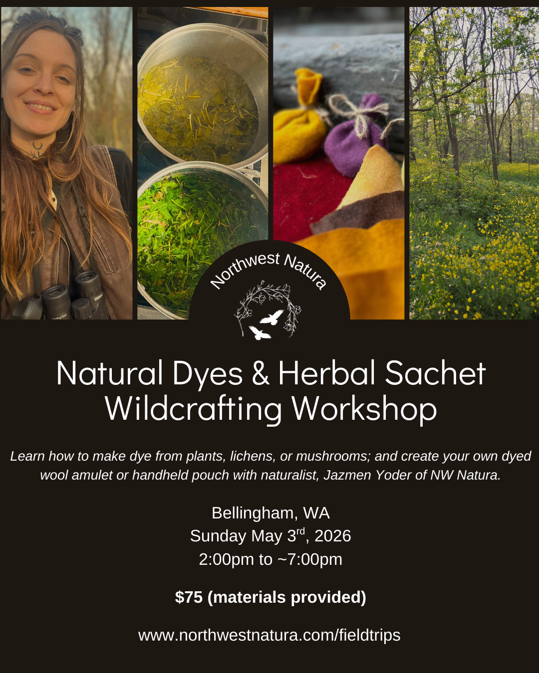 Natural Dyes - December (1).png