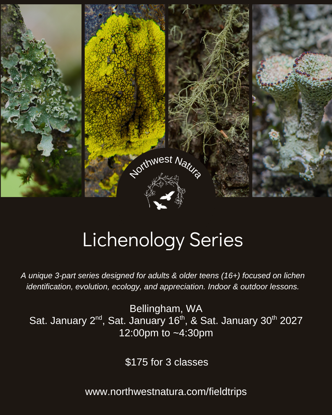 Lichenology Series