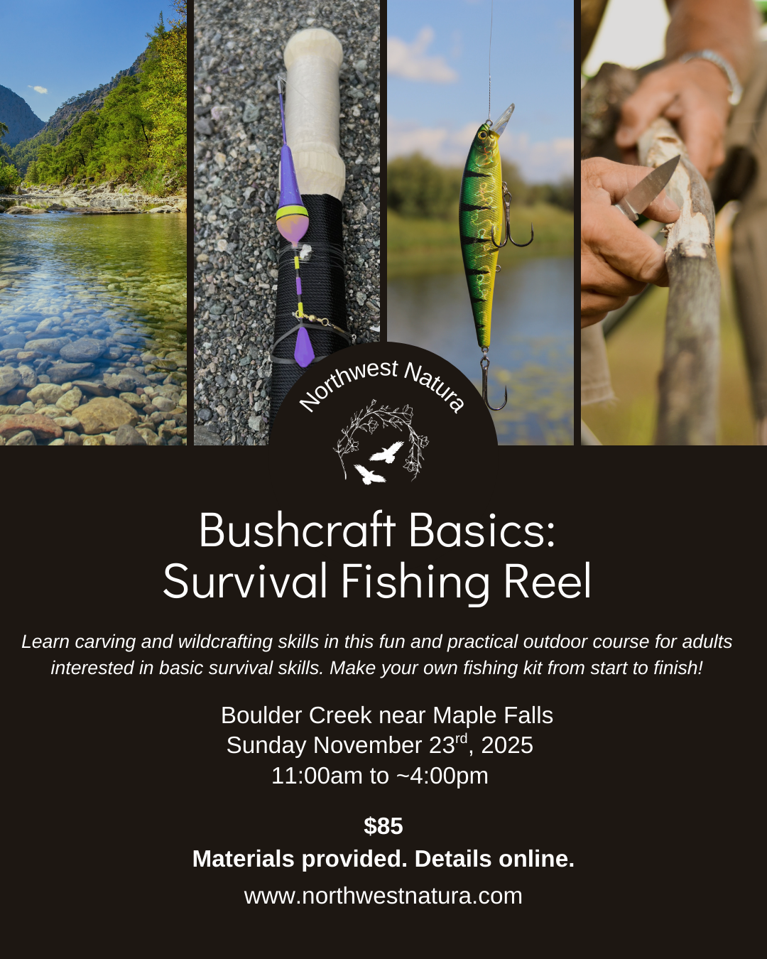 Fishing Reel (2).png