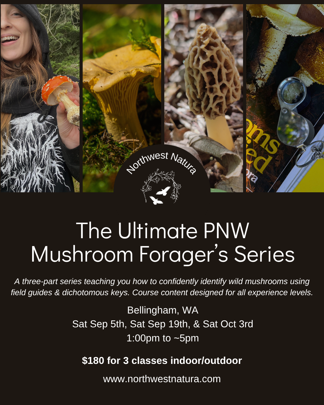 Mushroom ID & Keying SeriesSeminar.png
