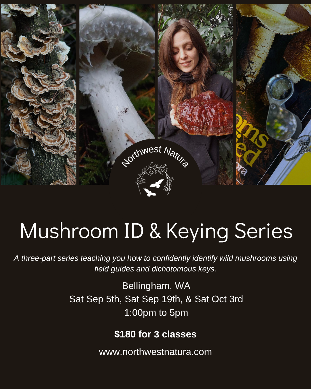 Mushroom Identification & Keying Course