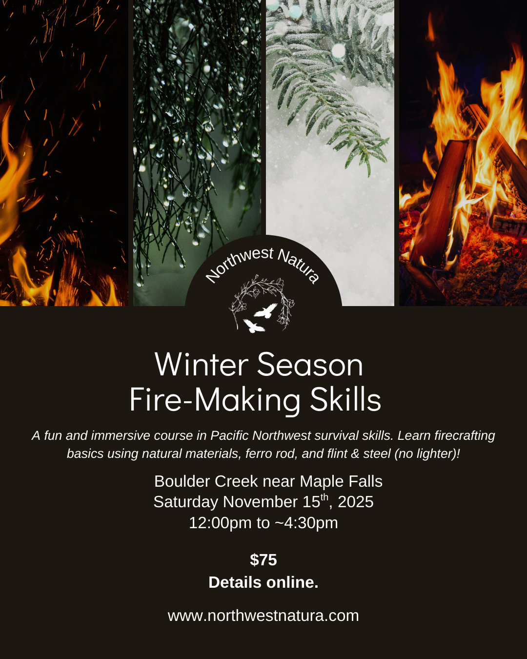 Winter Fire Skills.png