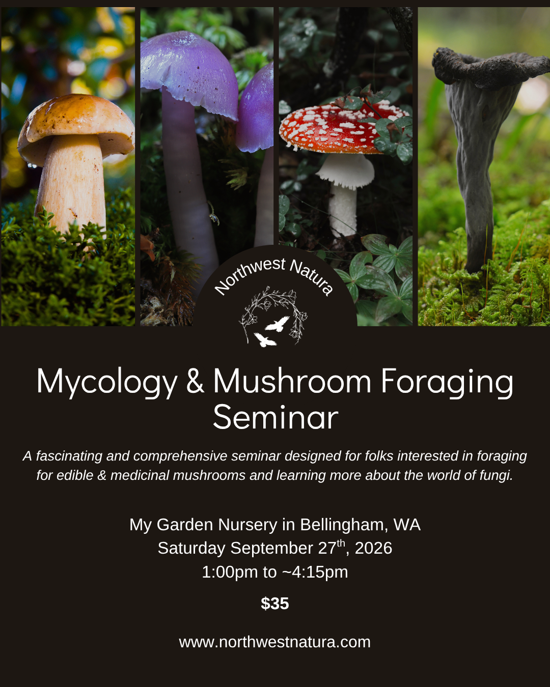 Mushroom Seminar.png