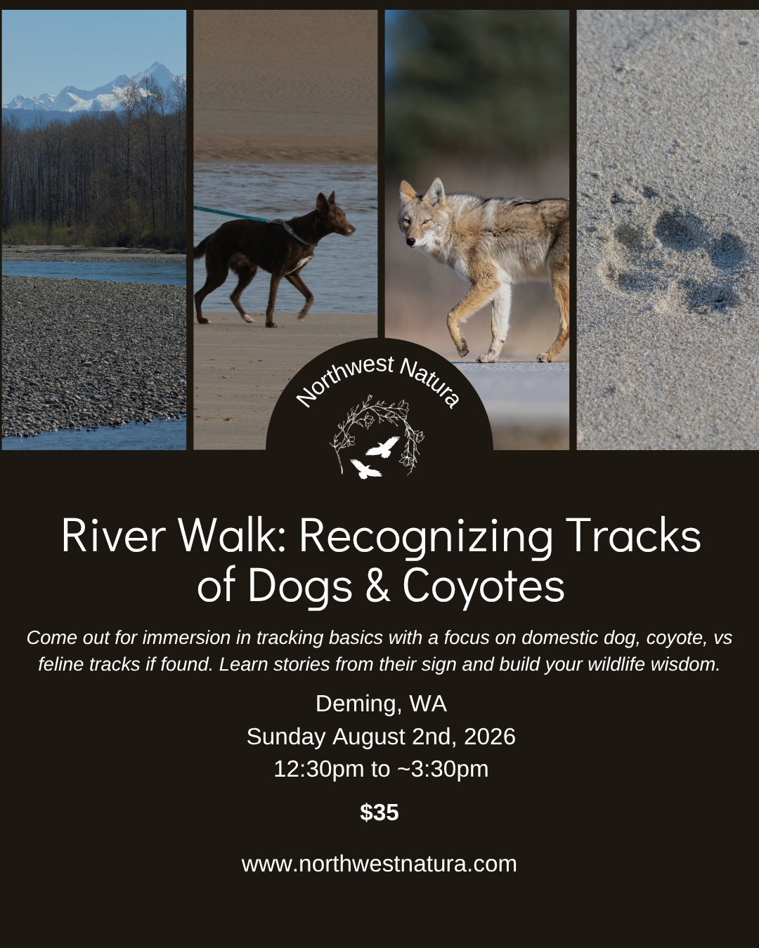Naturalist Hike Canidae.png