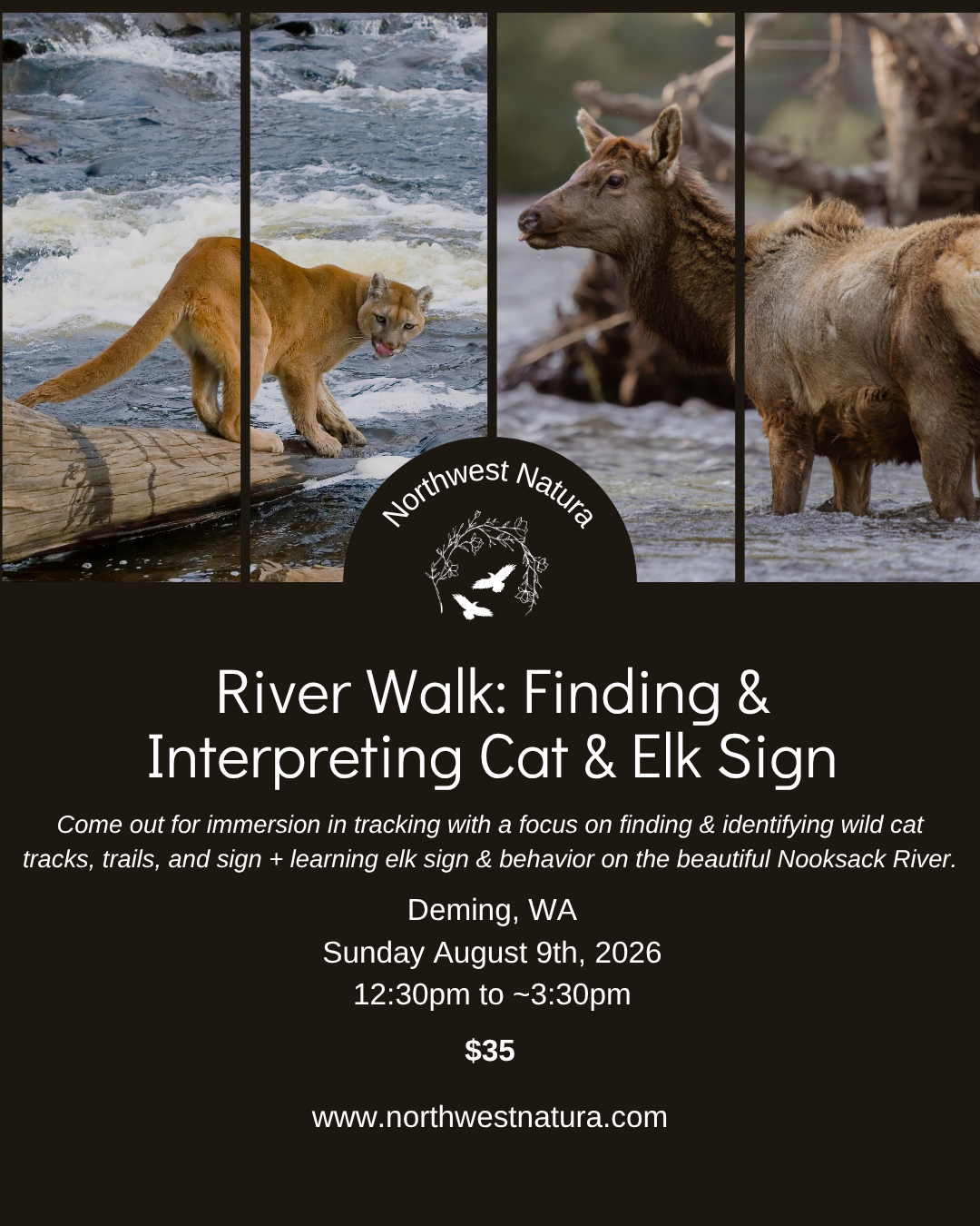 River Walk Cats and Elk (1).png