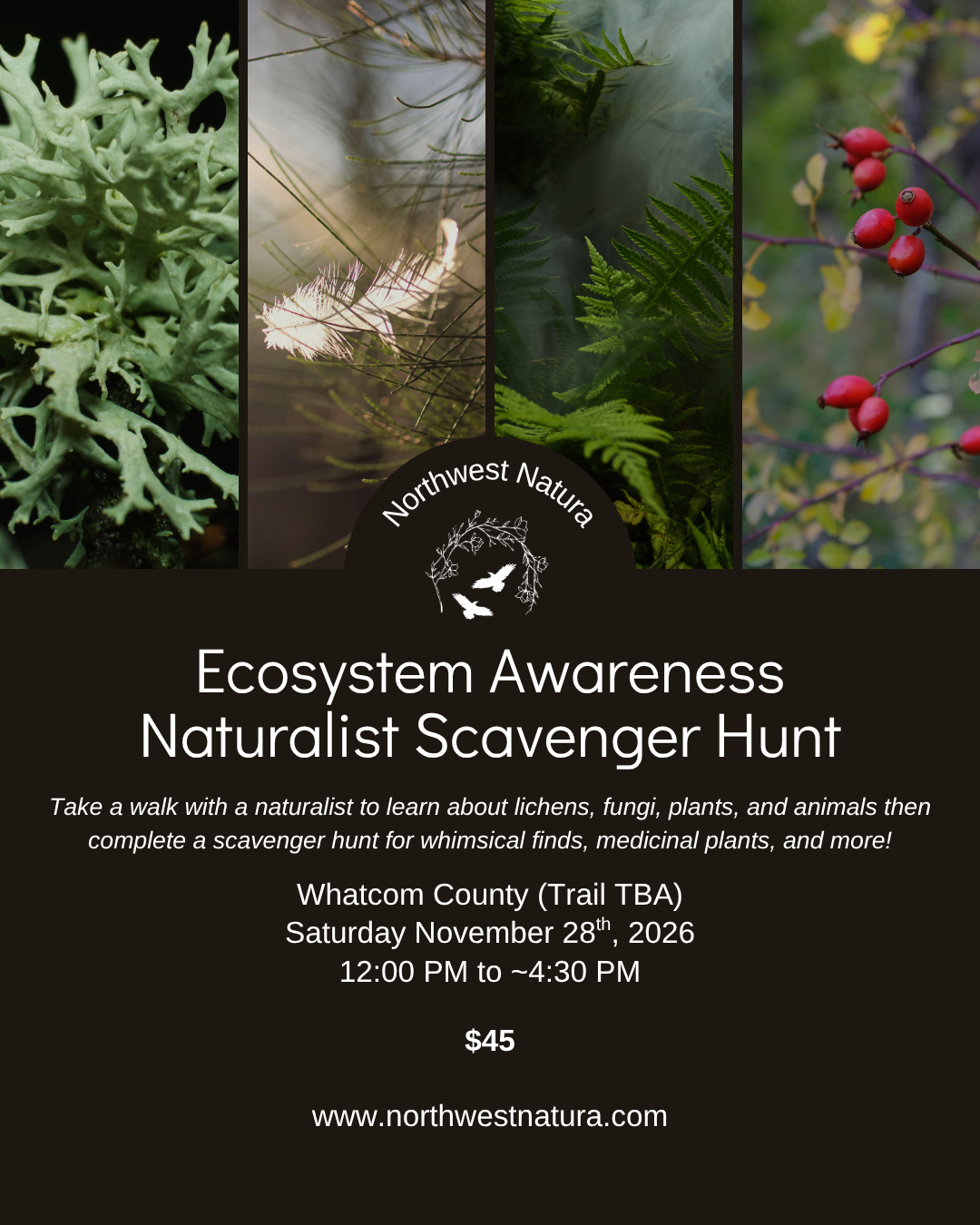 Scavenger Hunt Winter.png