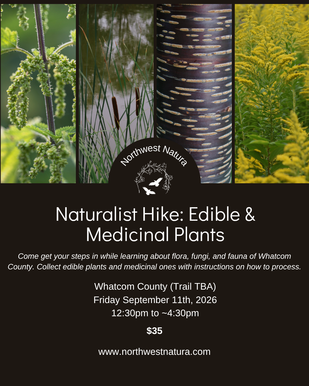 Naturalist Hike Edible and Medicinal Plants (1).png