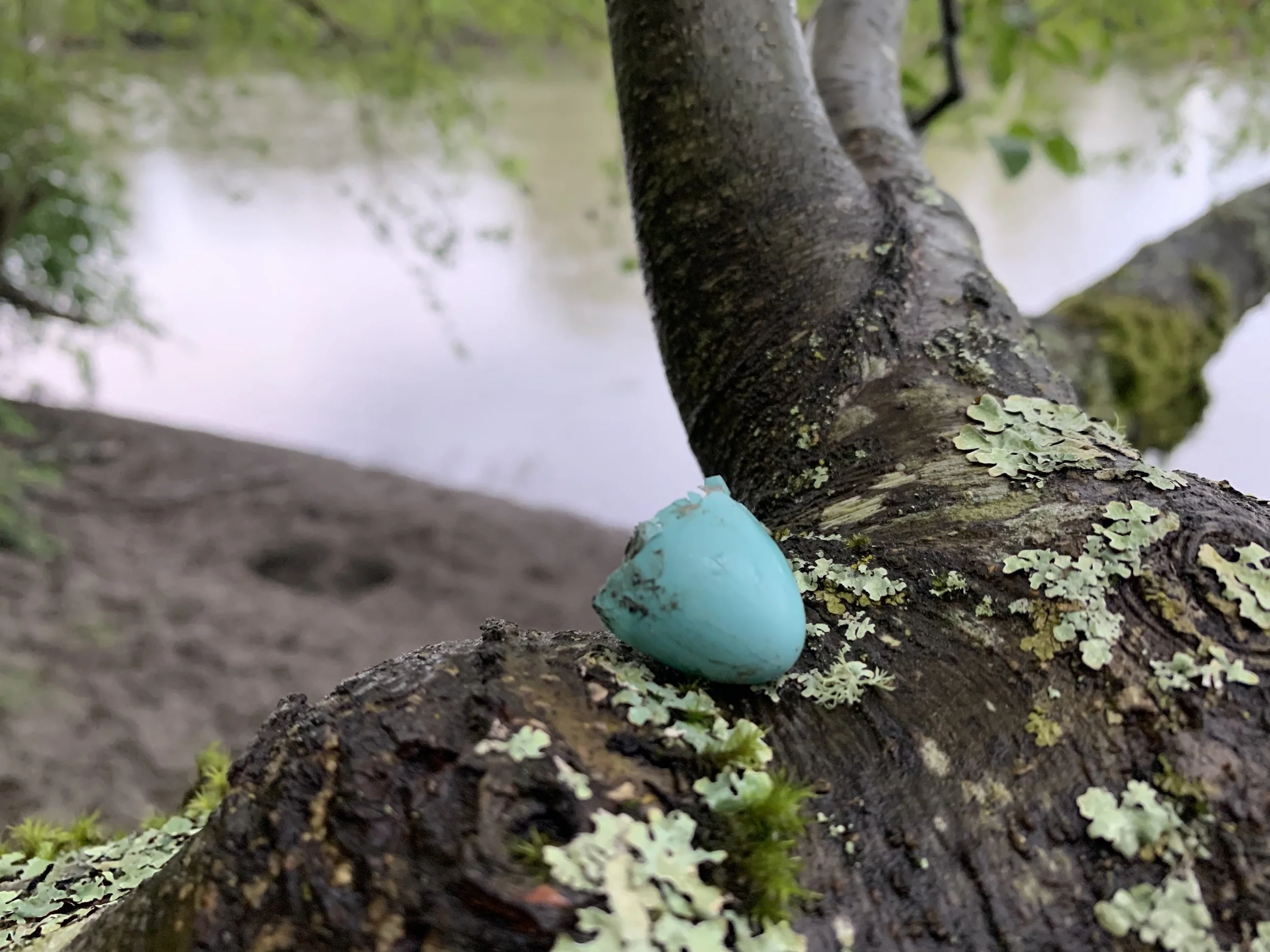 egg.jpg