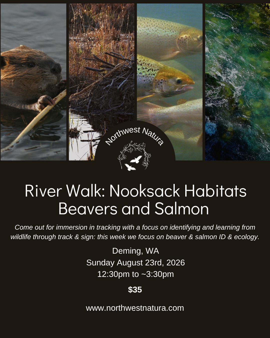 River Walk Beavers and Salmon.png