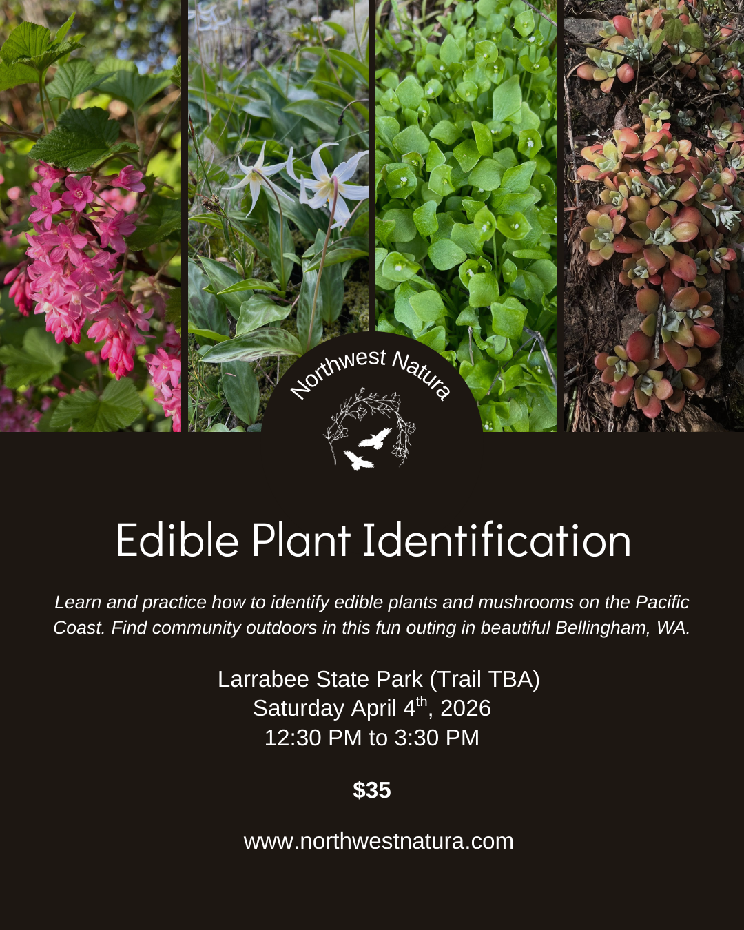 Edible Plant ID Walk (1).png