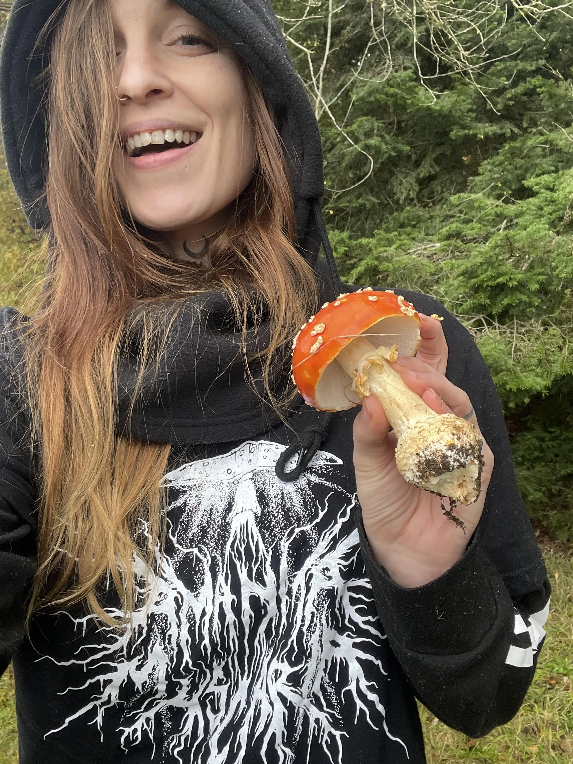 amanita.jpg