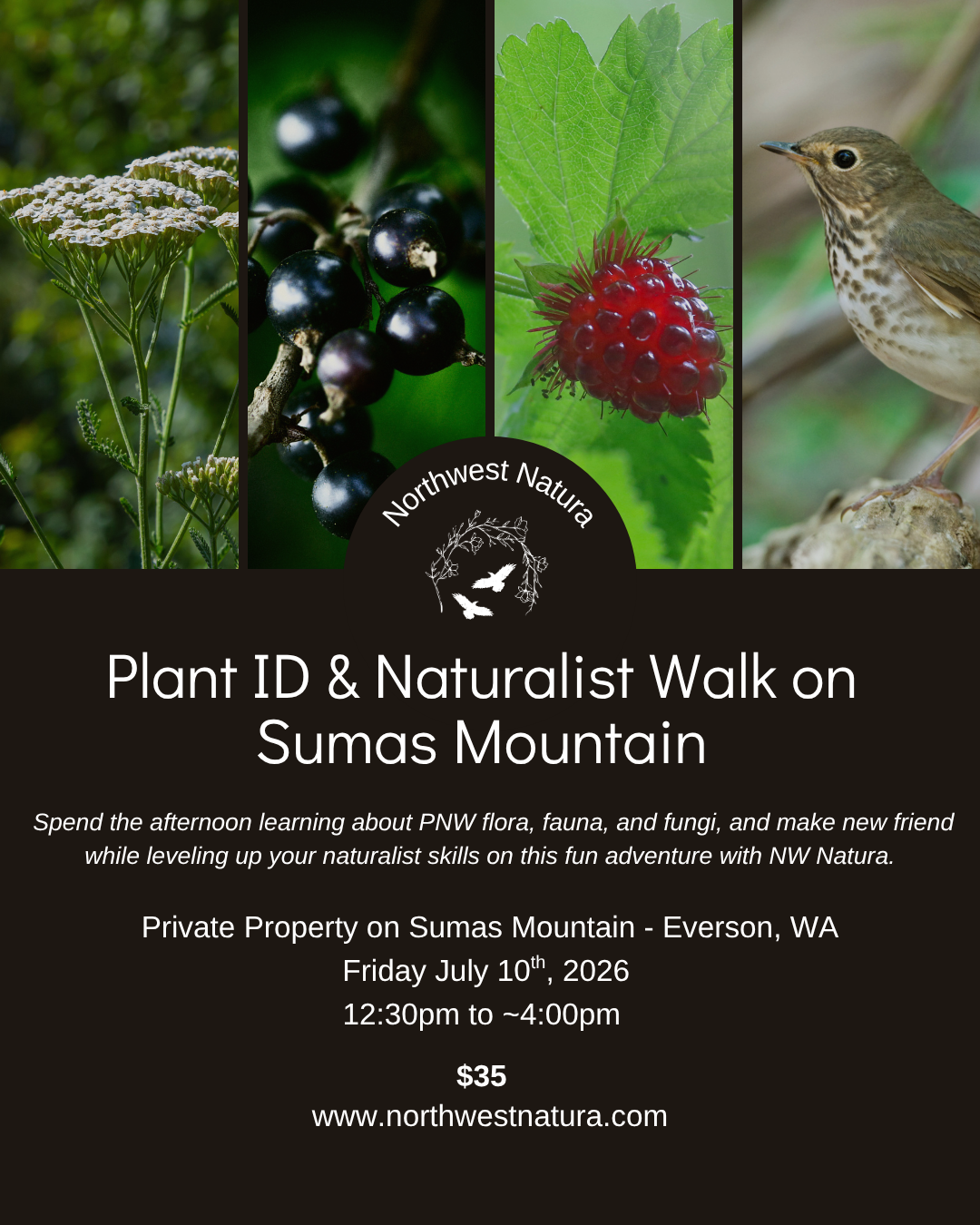 Sumas Mountain Naturalist Walk.png