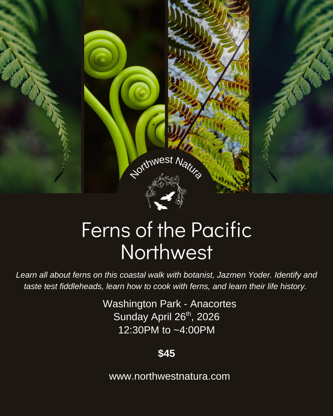 Ferns of the PNW (1).png