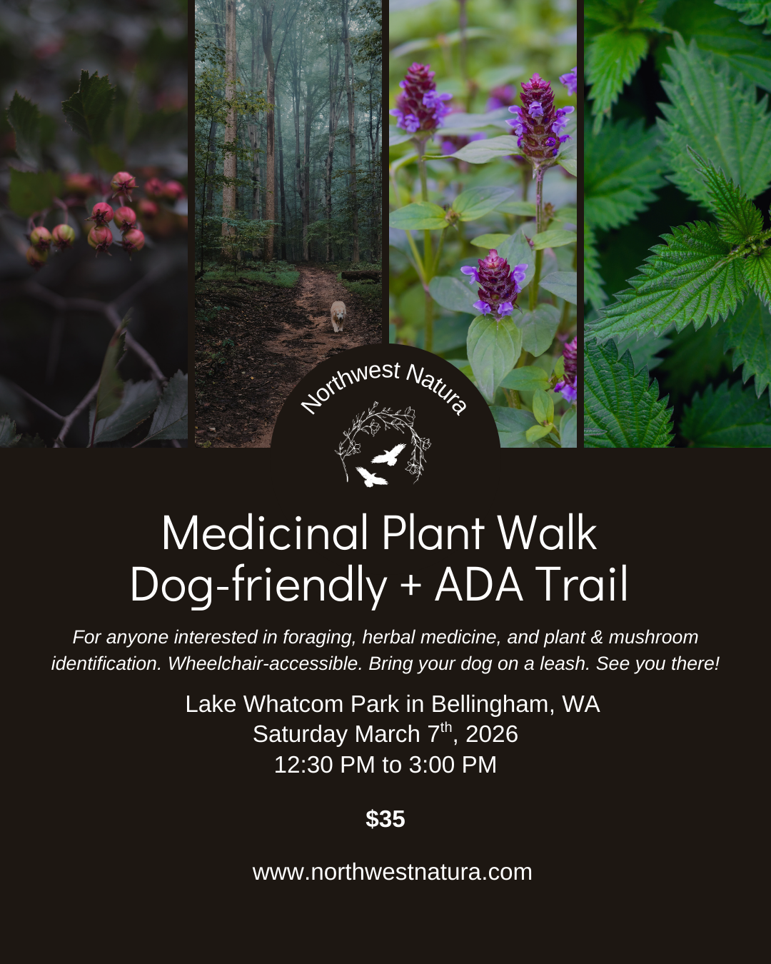 Medicinal Plant Walk March.png