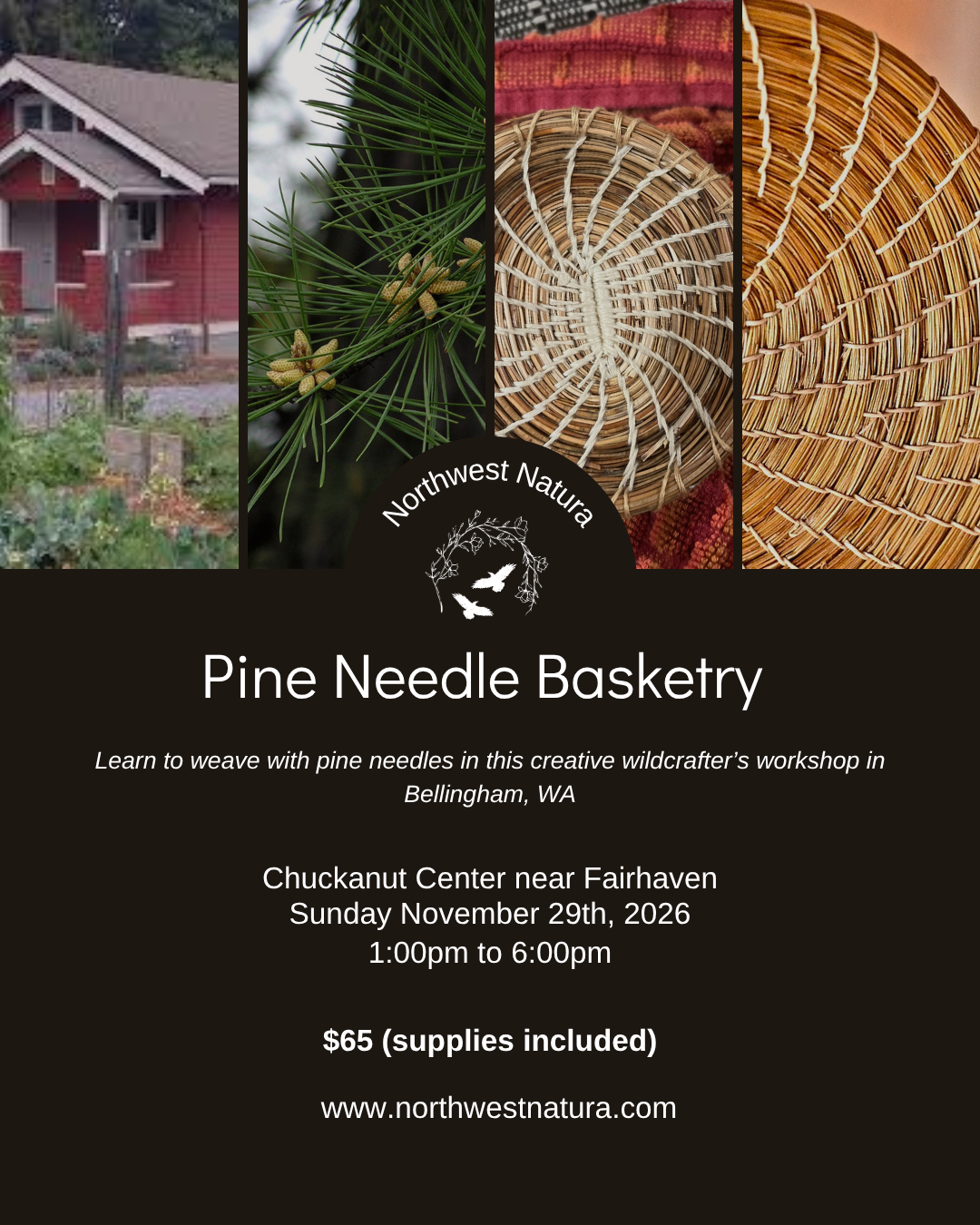 Pine Needle Basketry - A Wildcrafter's Workshop - November