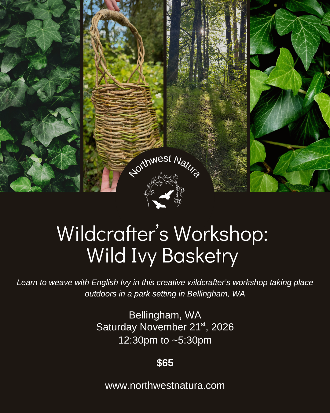 English Ivy Basketry (1).png