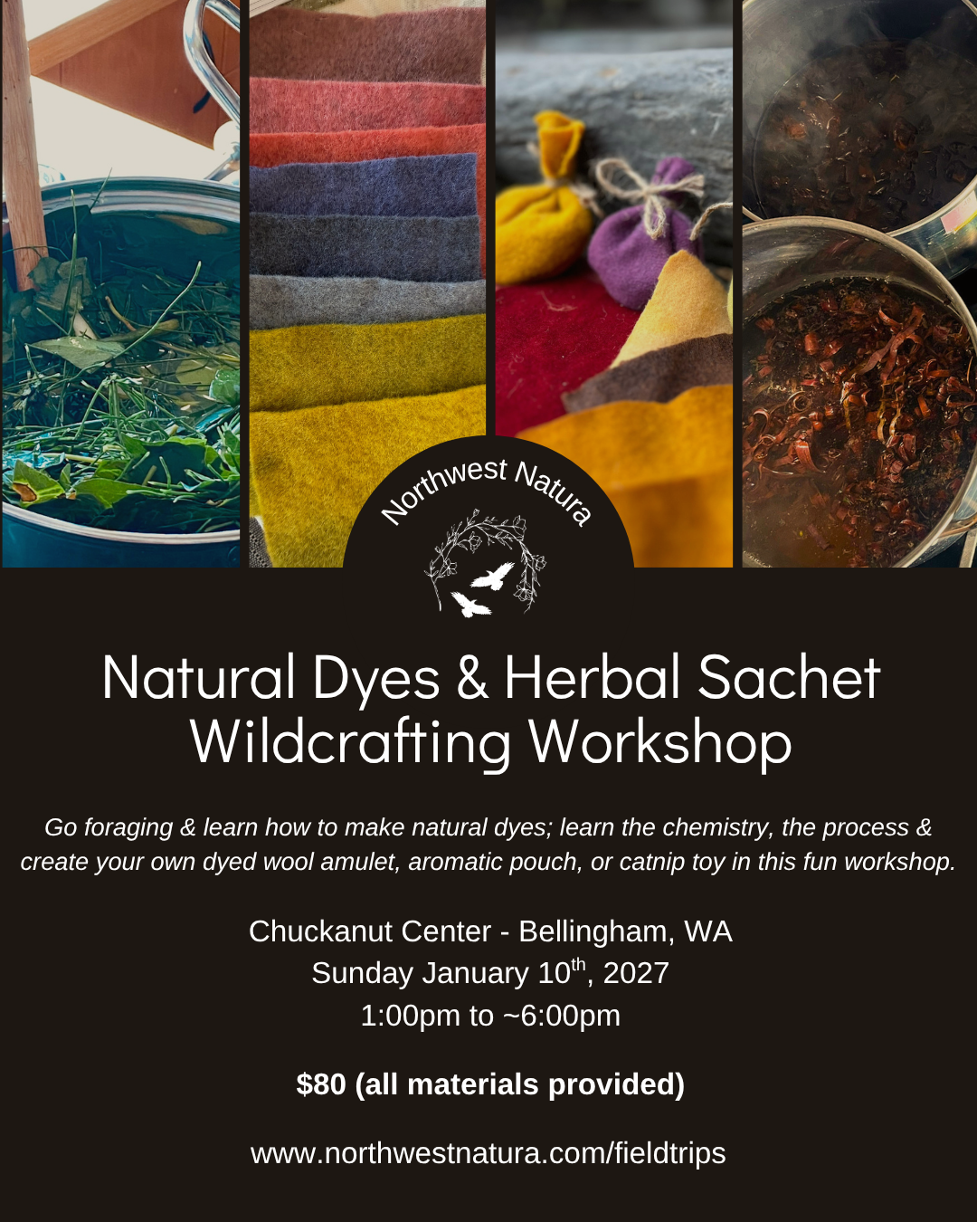 Natural Dyes -January.png