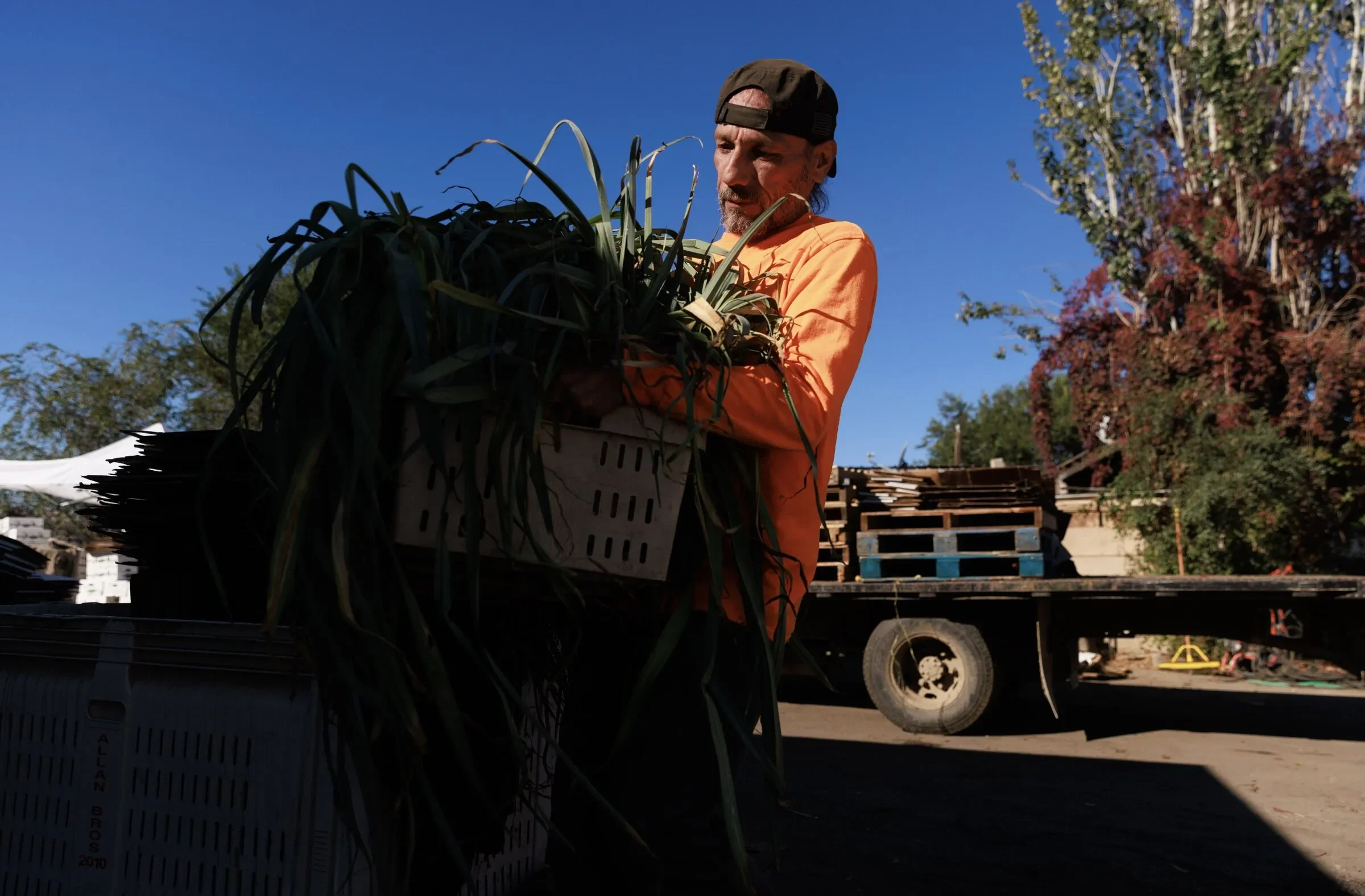 Food Oasis Featured in The Seattle Times