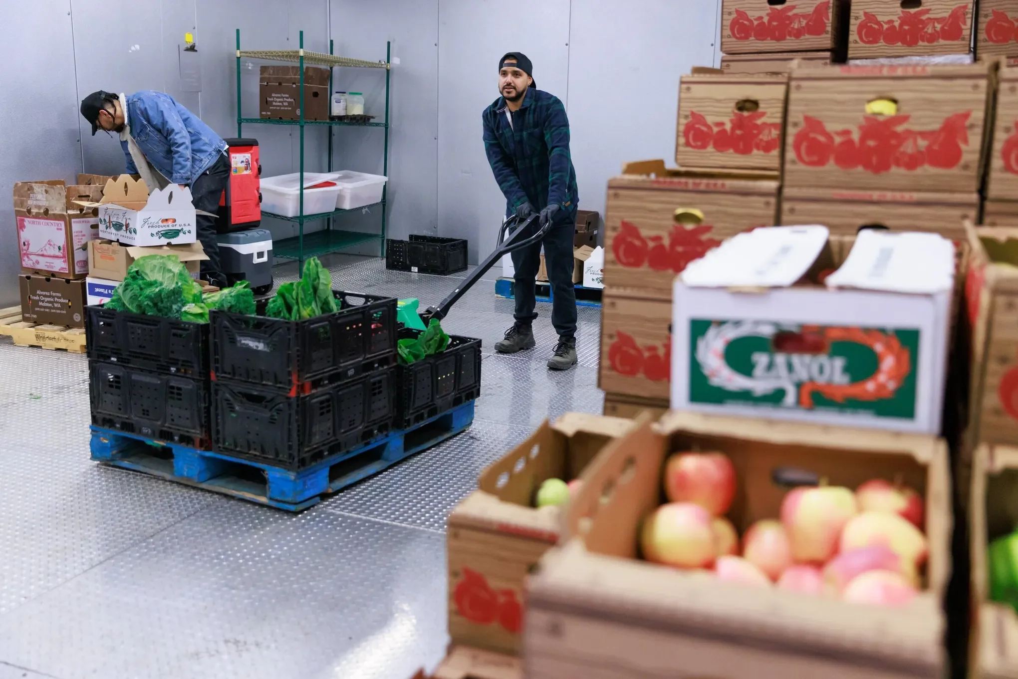 Food Distribution #2.webp