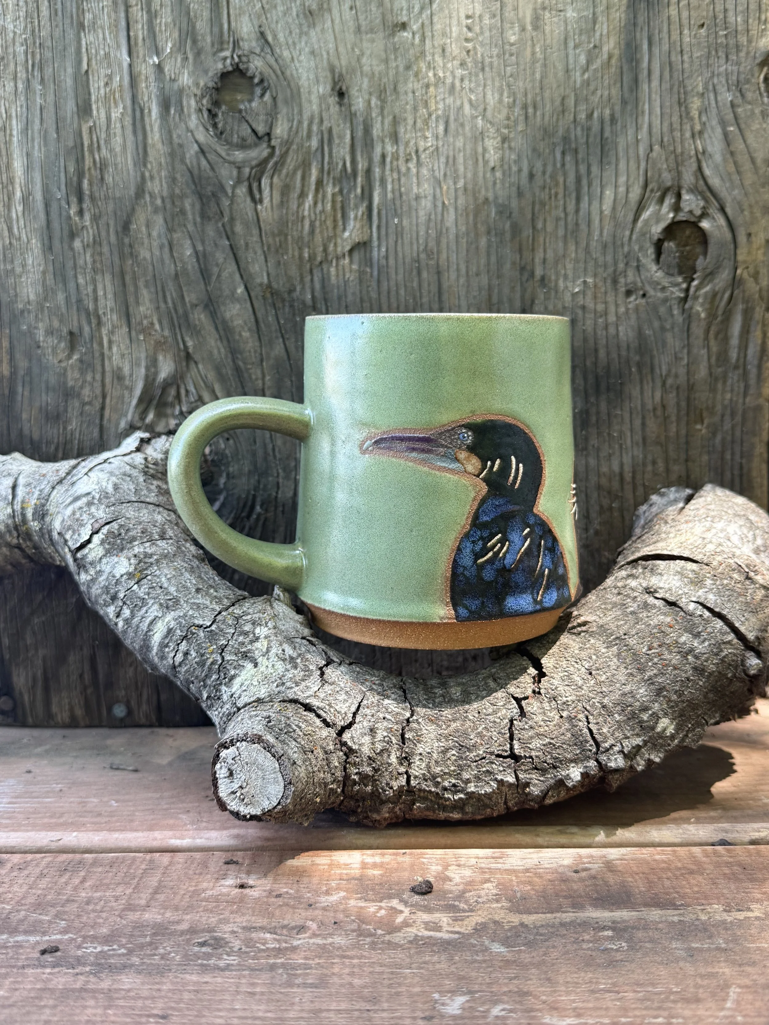 Morris tries to woo the Brandt’s Cormorants (again)
