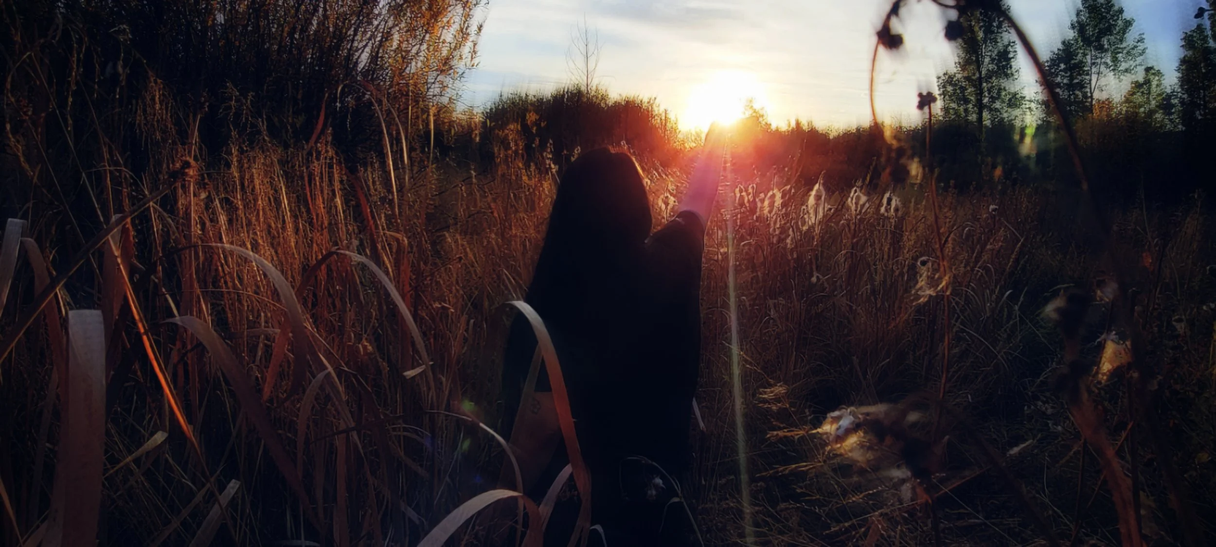 Solitude.jpg