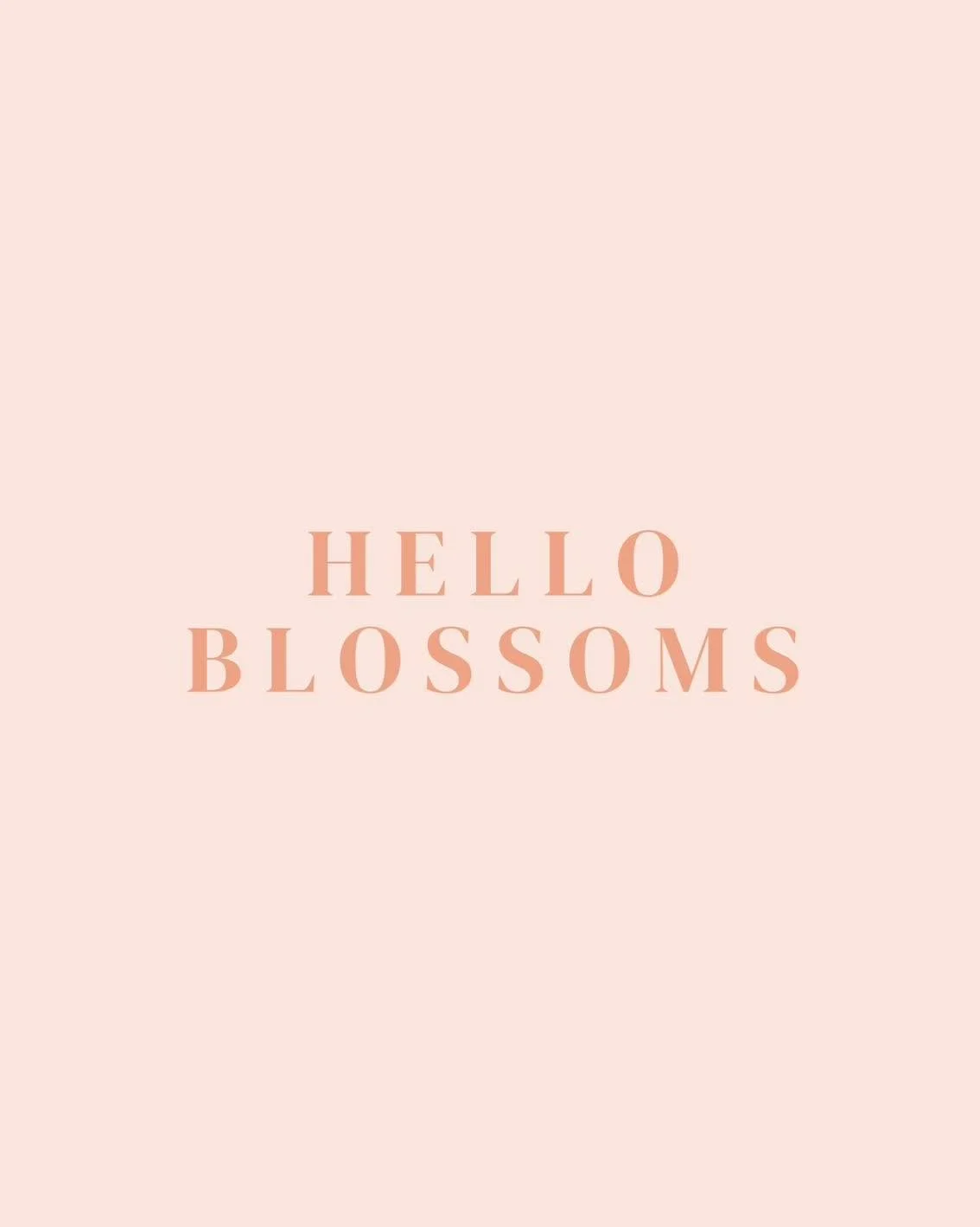 HELLO | BLOSSOMS 

For the month of May we are showcasing the wonderful girlies at Hello Blossoms 🌸🌼

Here is more about what the girls do in their own words:

&ldquo;Hello Blossom Co is a Tamworth-based flower and gifting business focused on makin