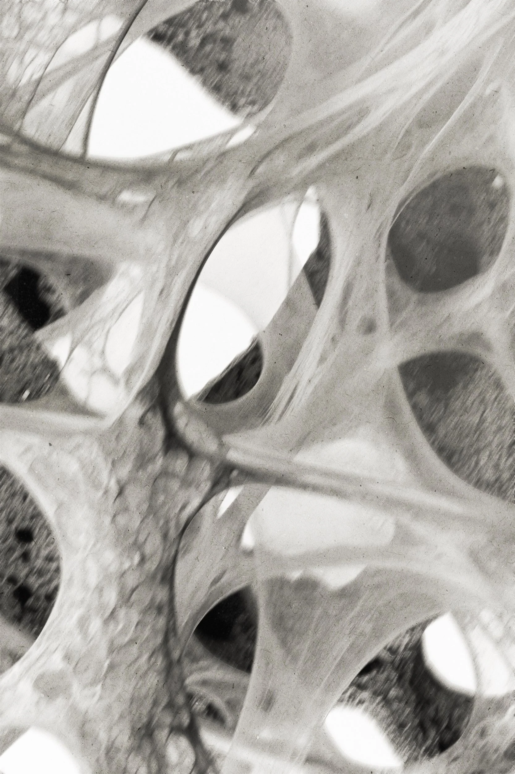 Speculative taxonomy of body-scale forms exploring pressure, porosity and protection.