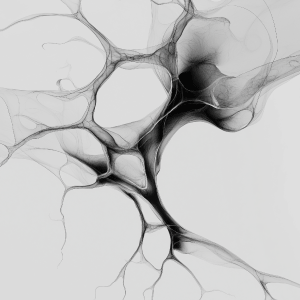 neuro_emptional_deisgn_nervous_system