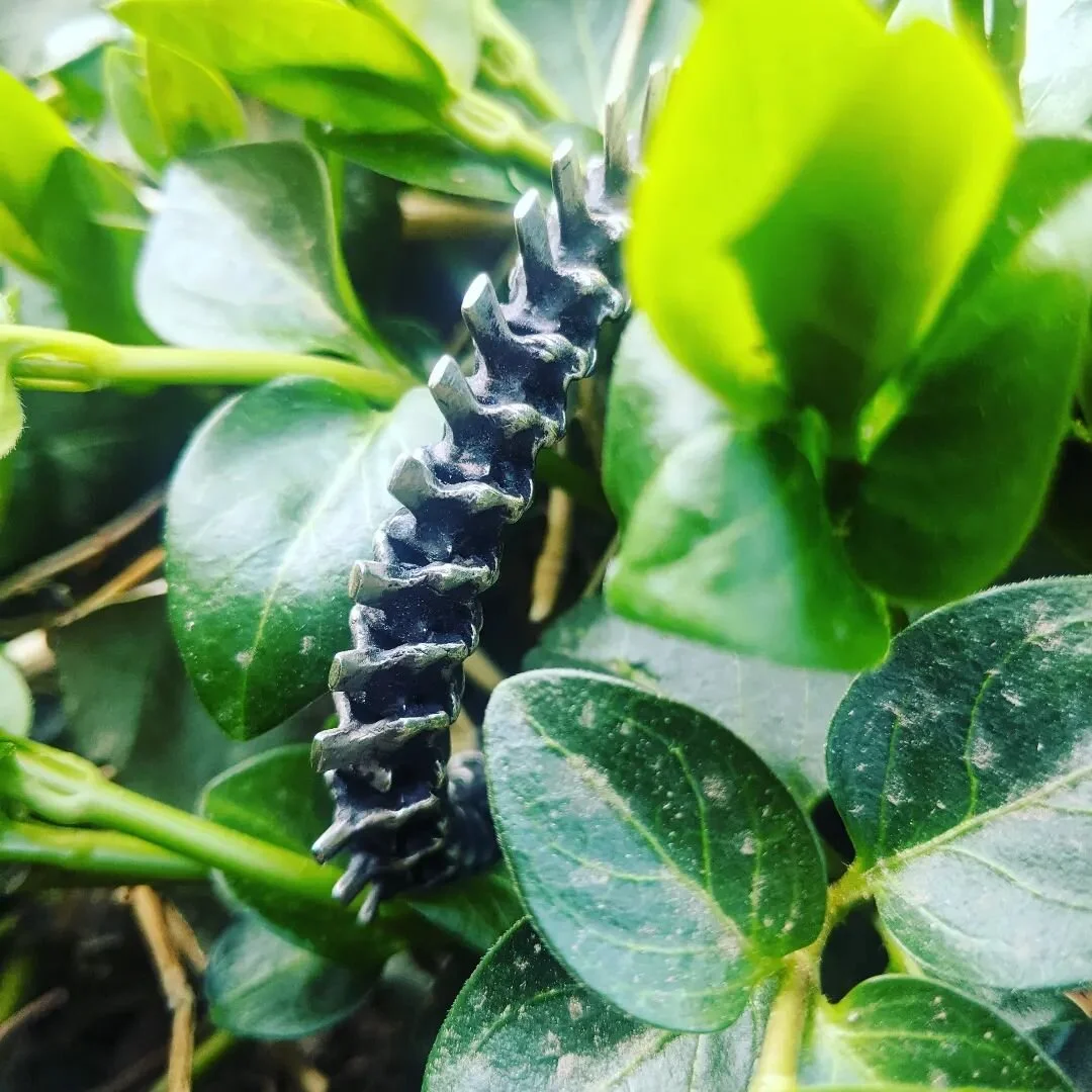 Big changes and new things to entice your dark side... coming soon

#handmade #sterlingsilverjewelry #sterlingsilver #spinebracelet #comingsoon #waitforit #gettingexcited