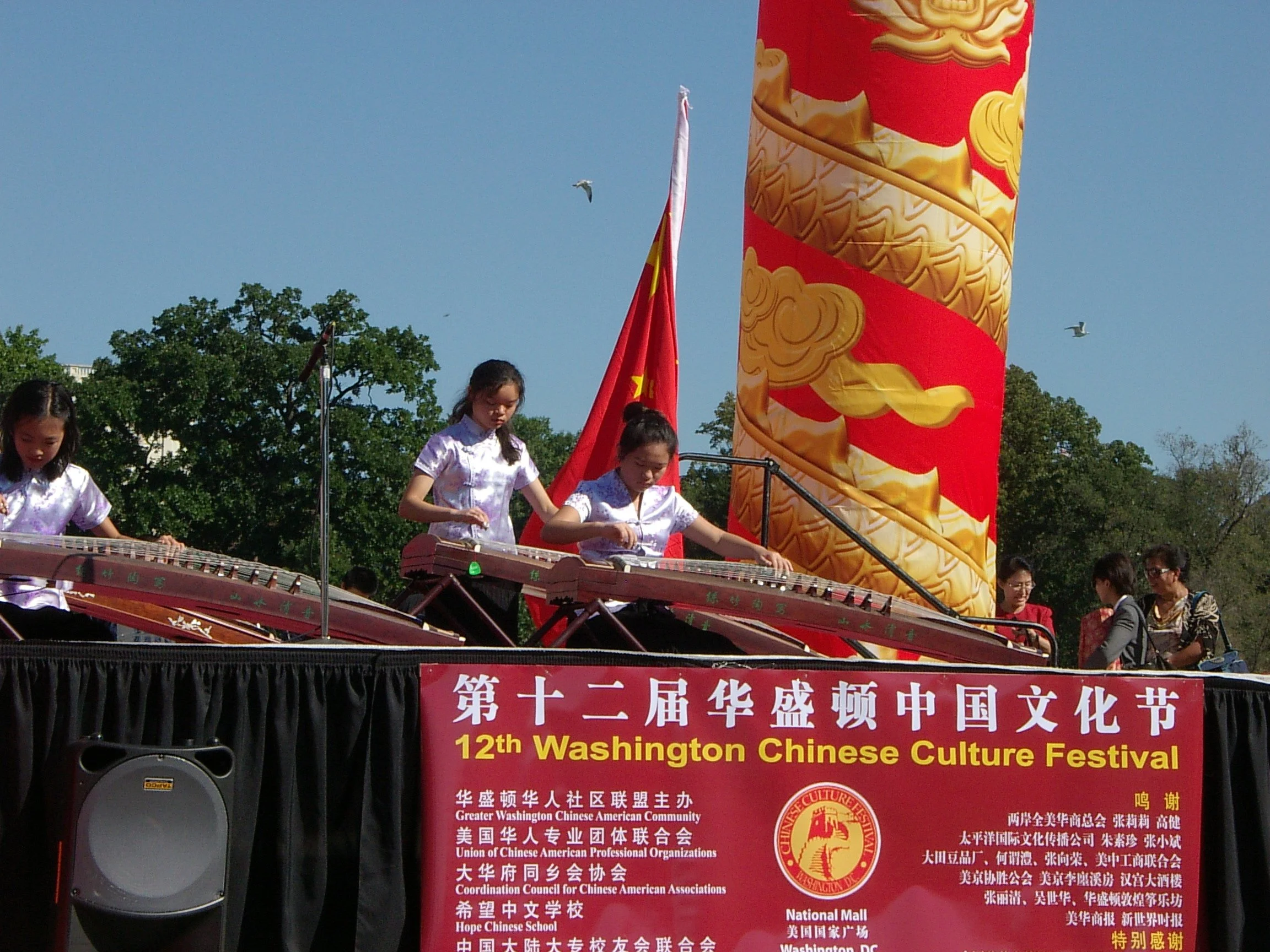 2010 Chinese Festival 09.JPG