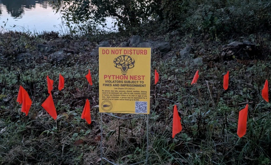 Stiff Penalties for Disturbing Snake Nests in Montgomery