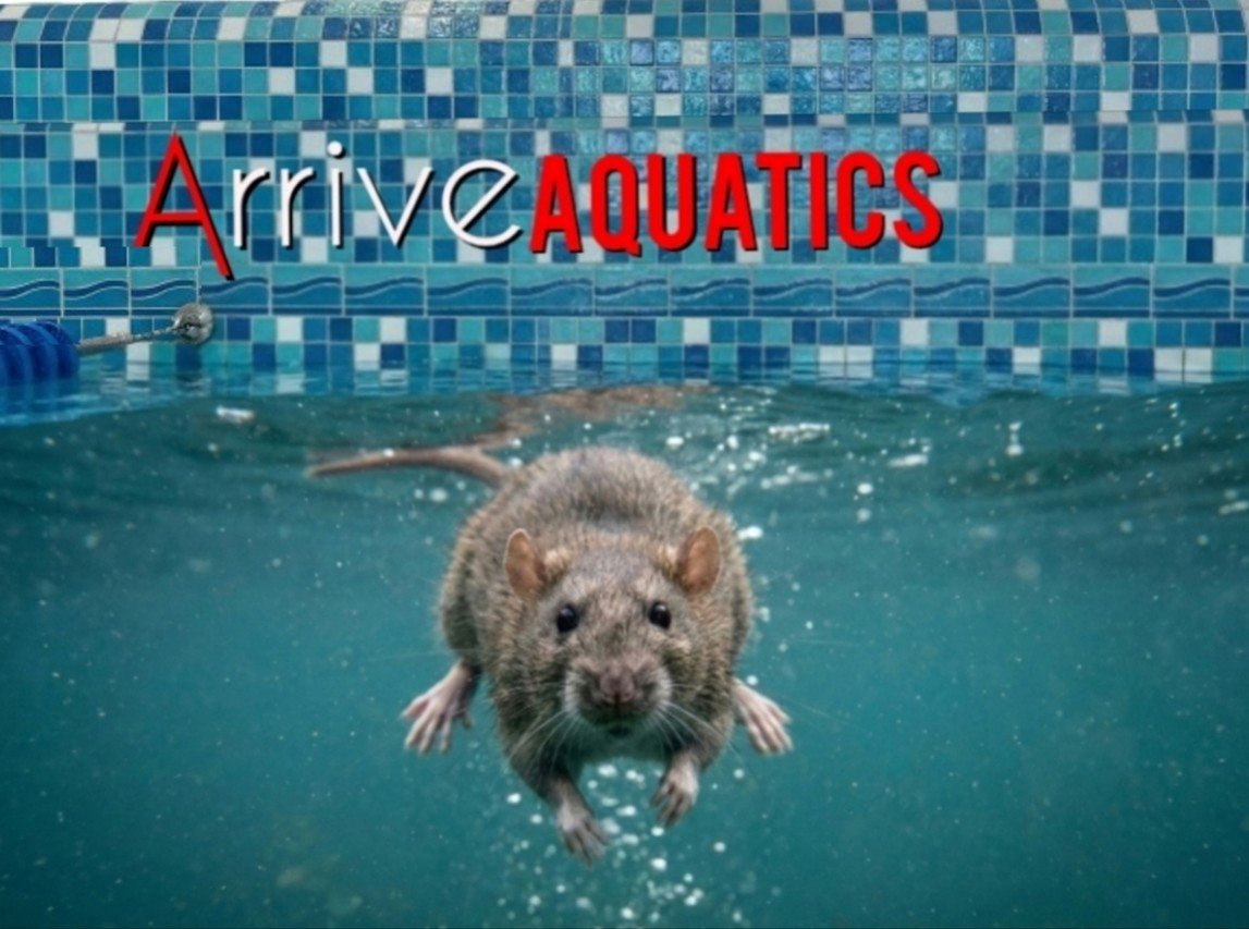 Arrive Silver Spring Adopts Aquatic IPM Strategy