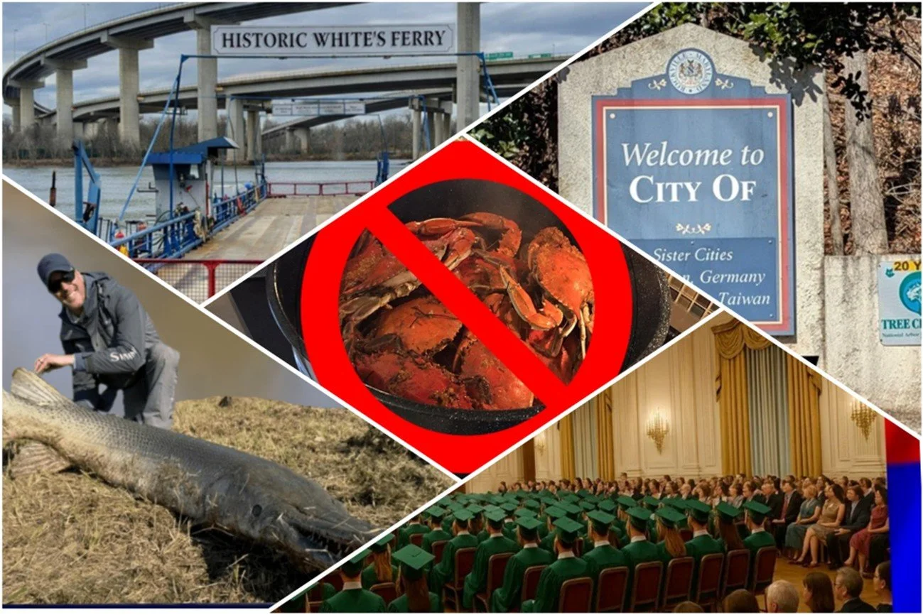 Five Biggest Leeks of 2025 (Satirical Stories)