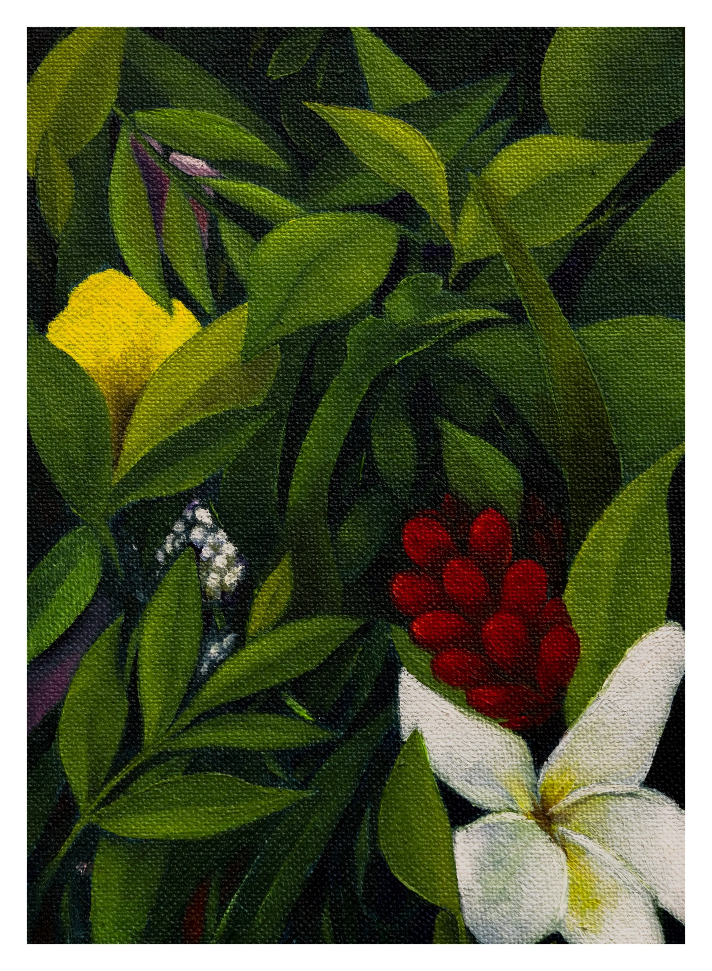 prints082026-7.jpeg