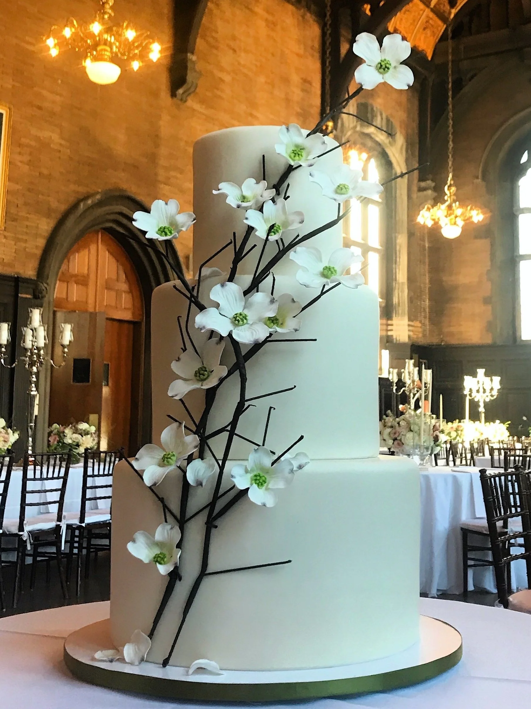 Dogwood Branches