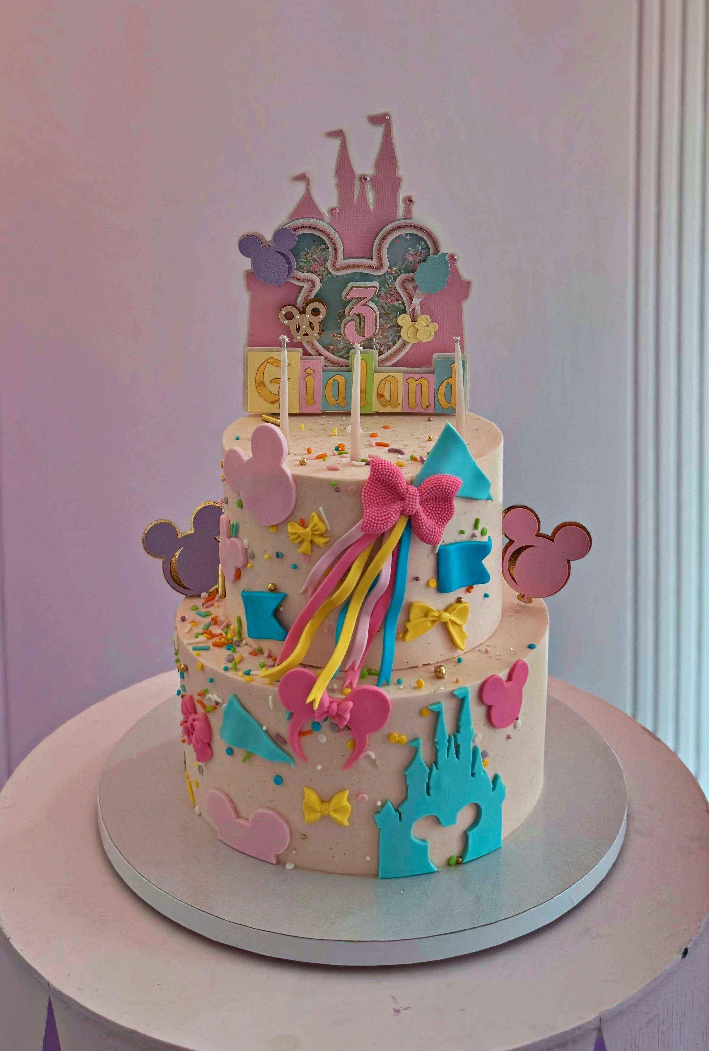 Magic Kingdom Birthday