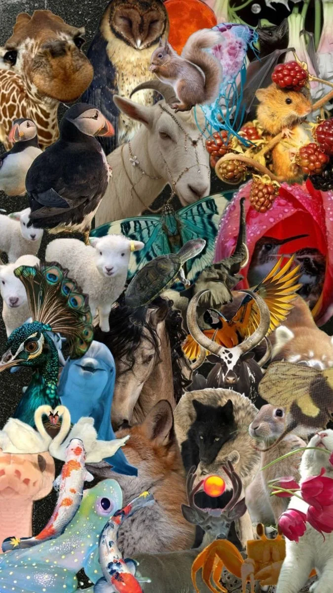 Inner Child Healing Sessions