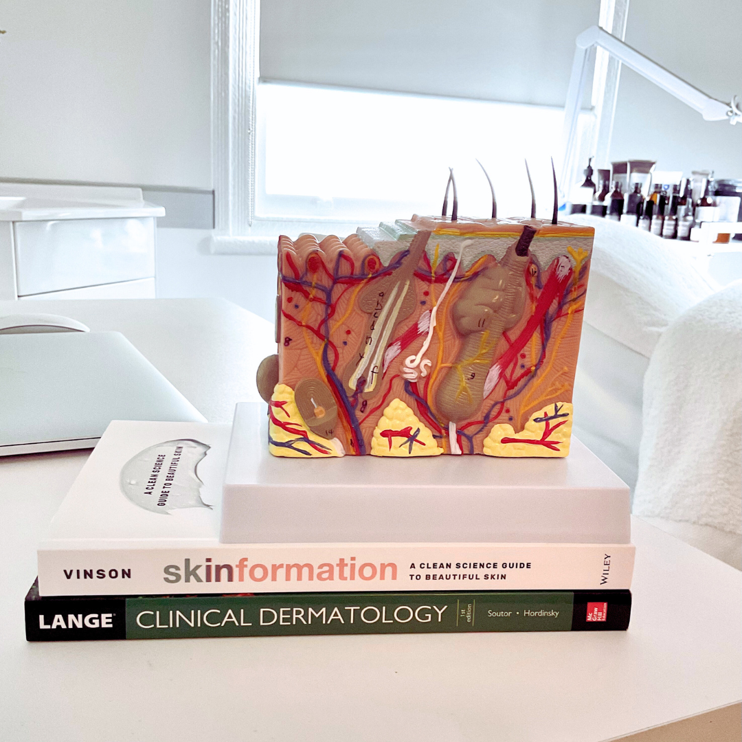 An anatomical model of human skin with detailed structure, placed on top of two textbooks about skin and dermatology on a white table in a well-lit room.