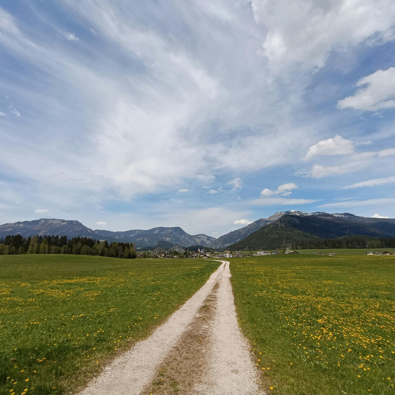 End Your Family Estrangement: 2 Powerful Words That Can Bring Your Prodigal Back