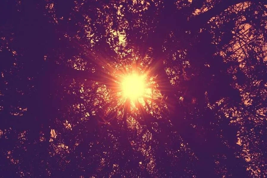 Ayurveda & Vedic Science: The Science of Life